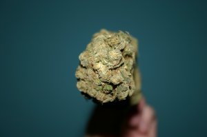 mernaghbud